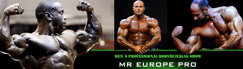 Мистер Европа Про 2013